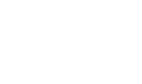 MolyGo Shop